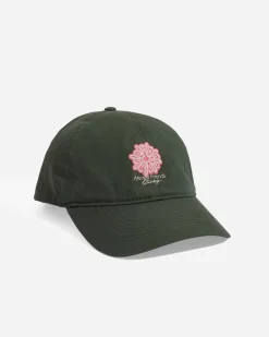 Amongst Friends Cap