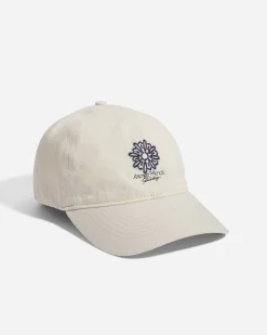 Amongst Friends Cap