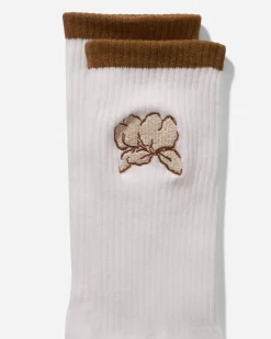 Manoa Sock